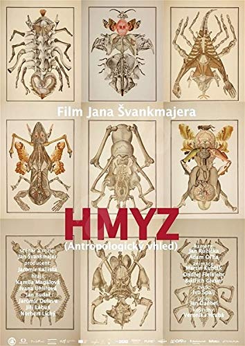 Insects / Hmyz DVD Jan Svankmajer: Amazon.de: Jan Budar, Jaromir